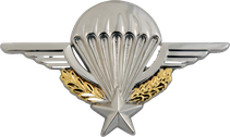 Brevet militaire de parachutiste