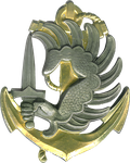 Insigne de béret des troupes de marine parachutistes