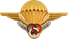 Brevet de moniteur parachutiste