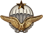 Brevet militaire de parachutisme de l'Armée de l'air
